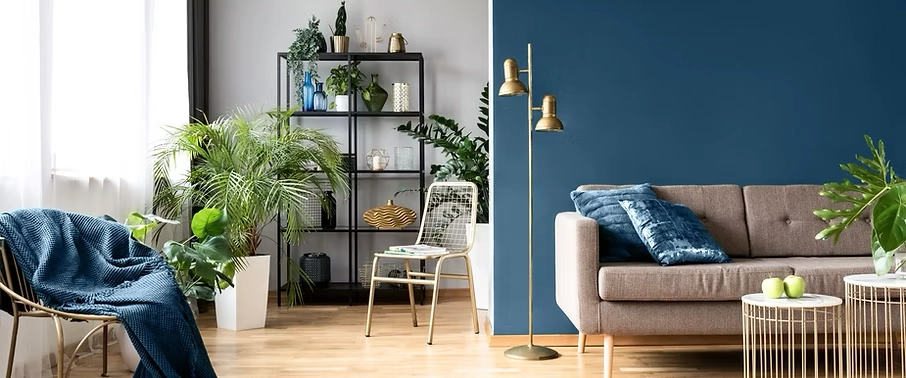 Blue Room with plants wooden floors and stylish furniture